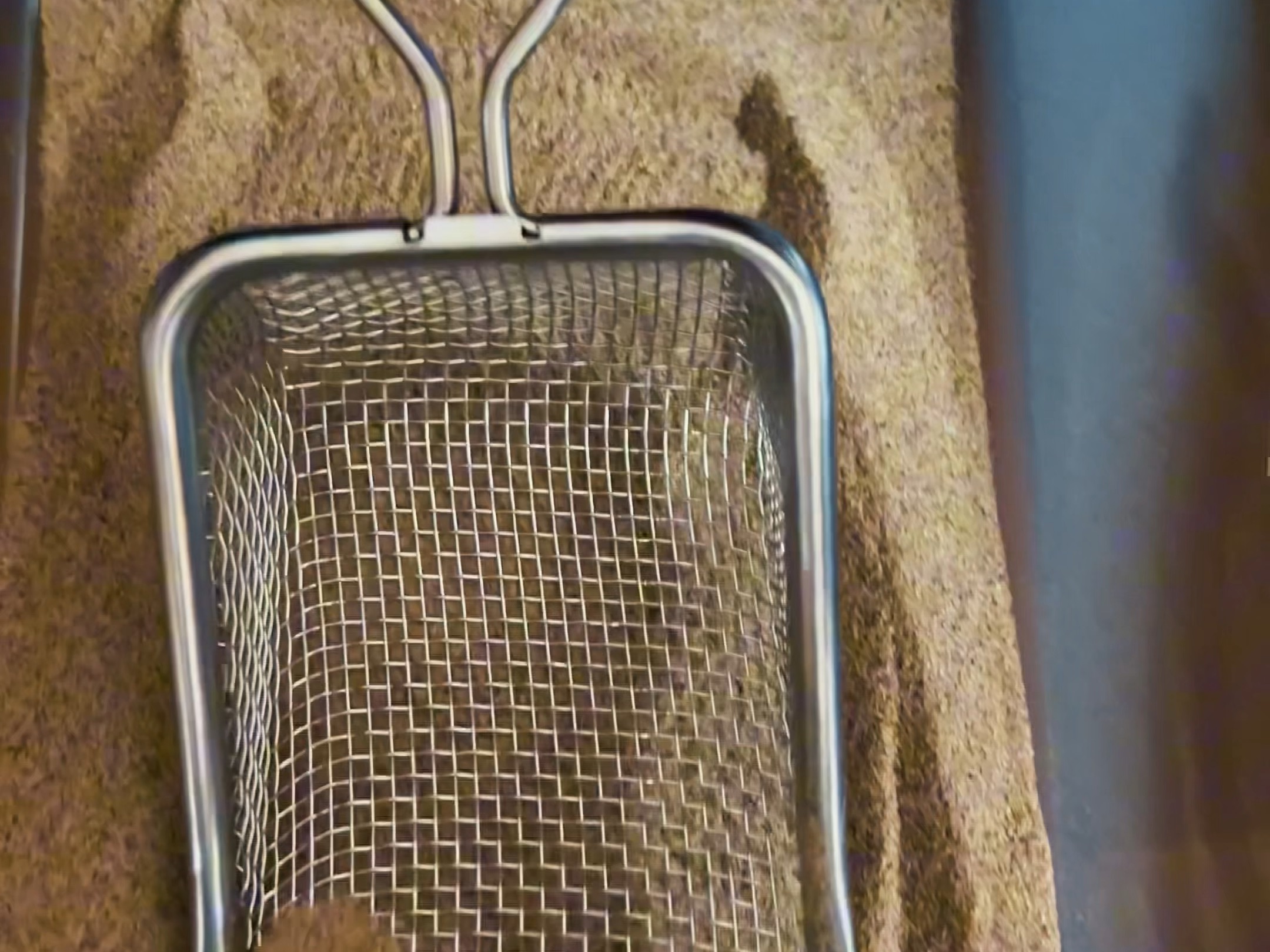 墙裂推荐这个给瘤尾铲屎的利器