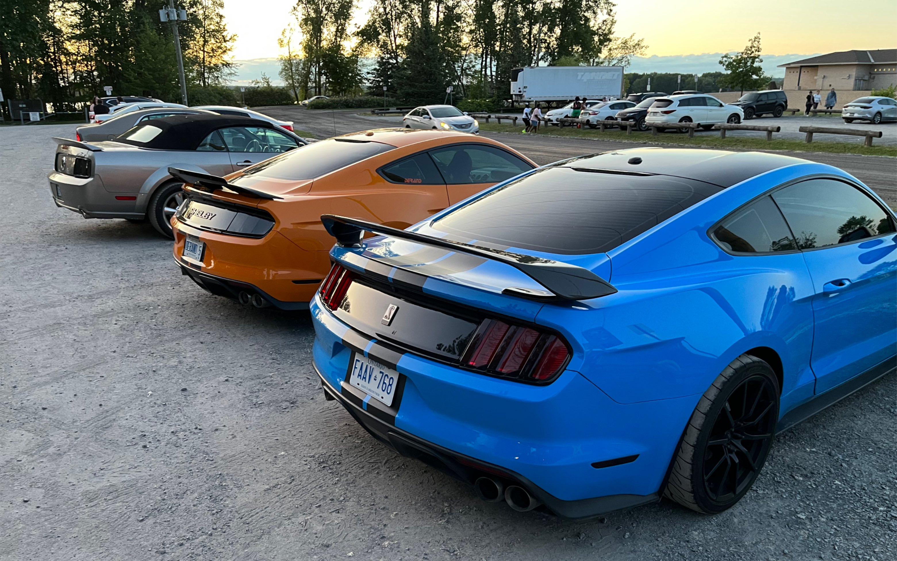 谢尔比gt350低素质炸停车场