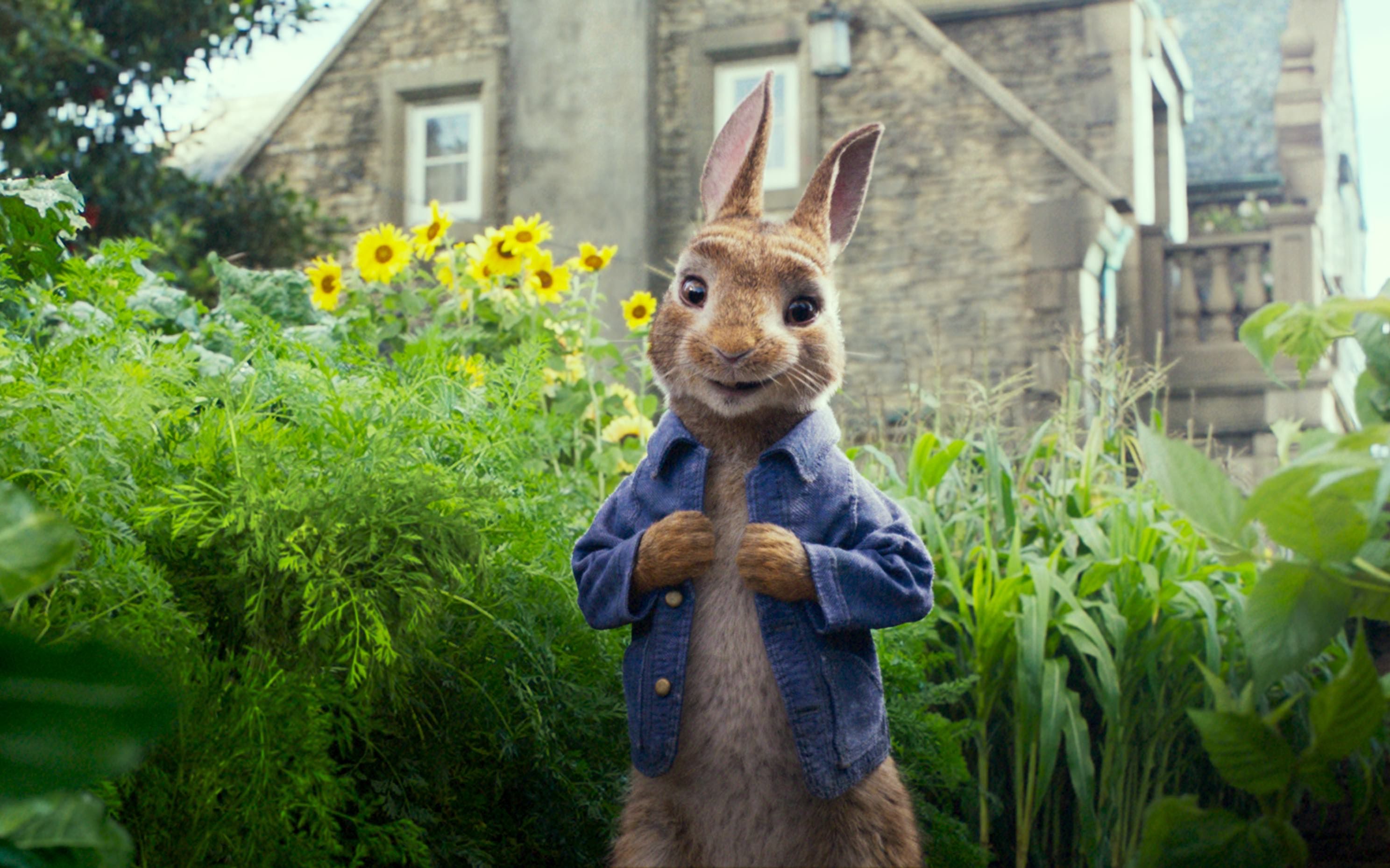 《彼得兔》一只会说话的兔子能有什么坏心思!