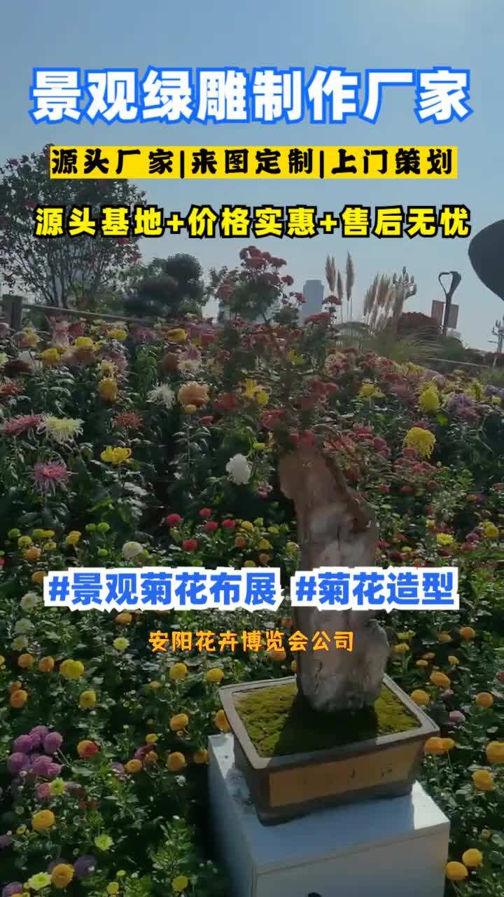 安阳花卉博览会公司,菊展,景观菊花,提供网红造型,菊花造型,绿雕设计等,覆盖区域包括山东的菏泽,济南,青岛,淄博等地区,如果你有绿雕、花...