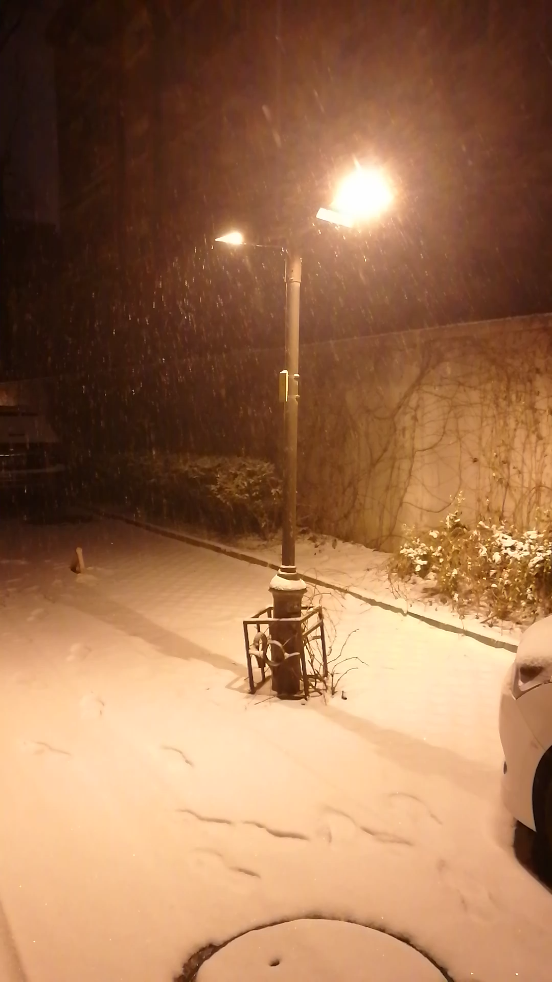 凌晨4点下雪的北京