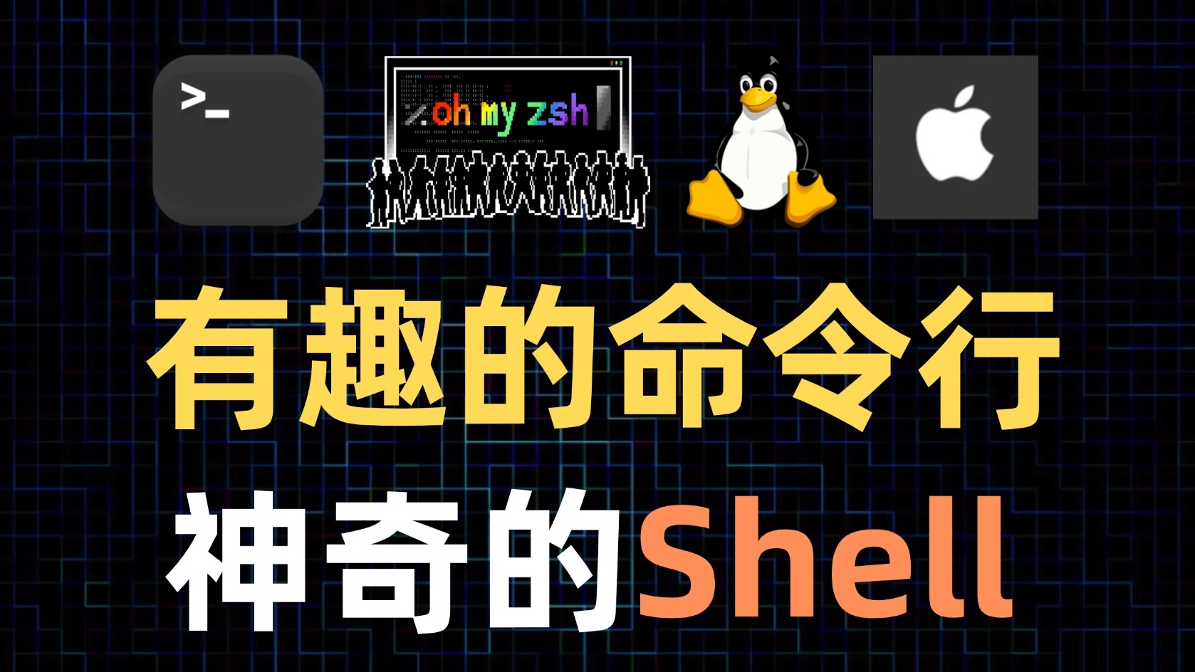 Bash和Zsh有什么区别?终端和Shell又有什么关系?一个视频全搞懂