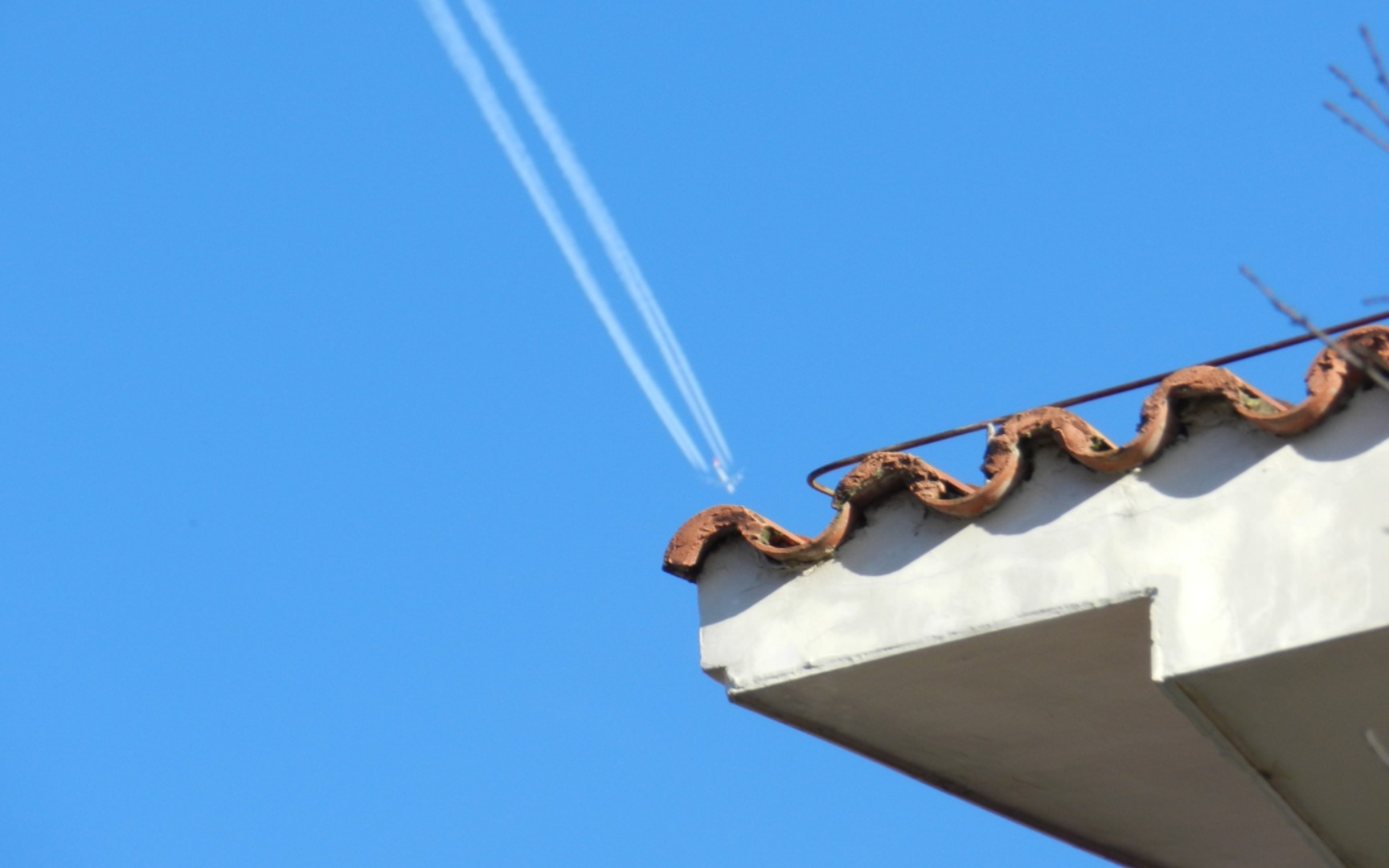 【尼康p500】周末日记