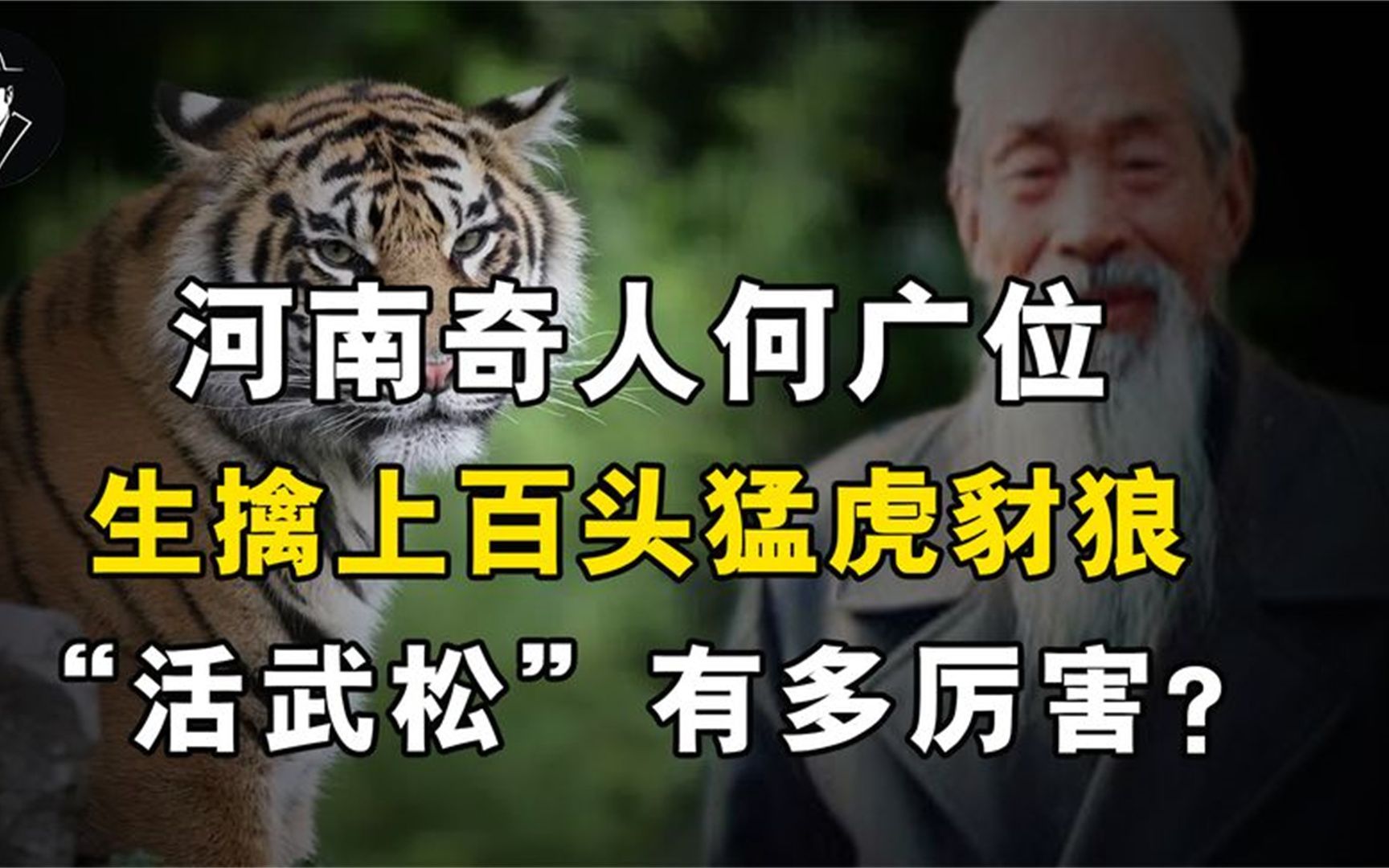 河南奇人何广位,生擒上百头猛虎豺狼,现代“活武松”有多厉害?哔哩哔哩bilibili