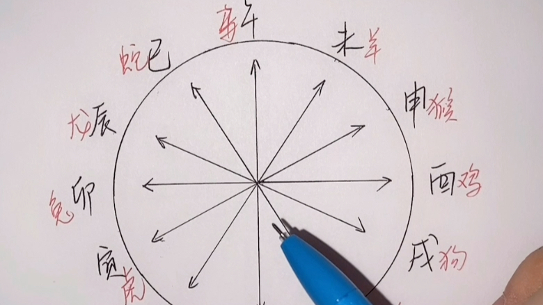 易学入门基础知识——地支六冲(属相相冲) 你是属什么的呢?你知道与你犯冲的生肖是哪个吗哔哩哔哩bilibili