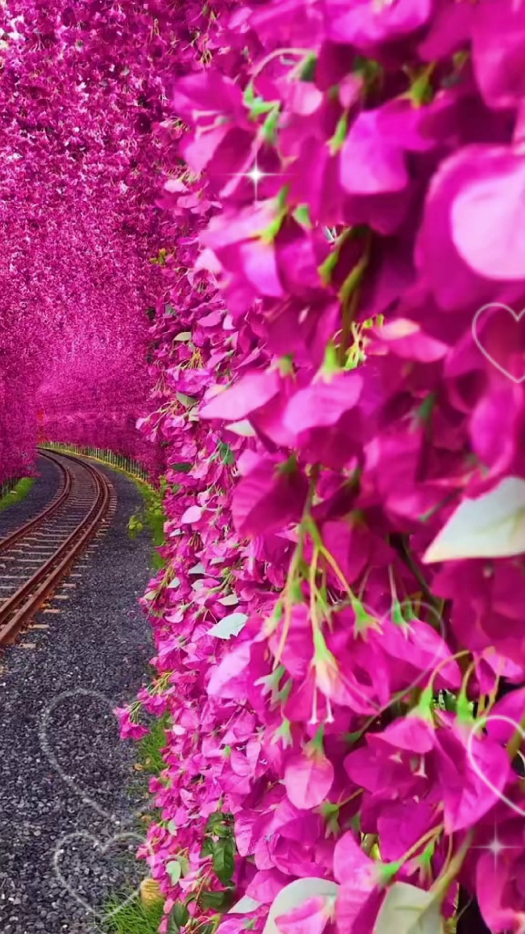 1080_1920竖版 竖屏