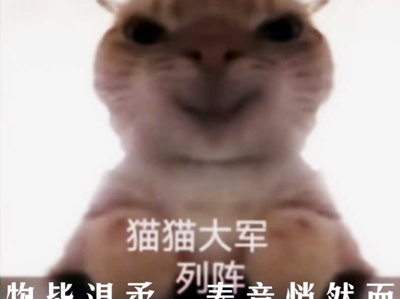 【摆封七天版】视频加载中,速速查收惊喜!