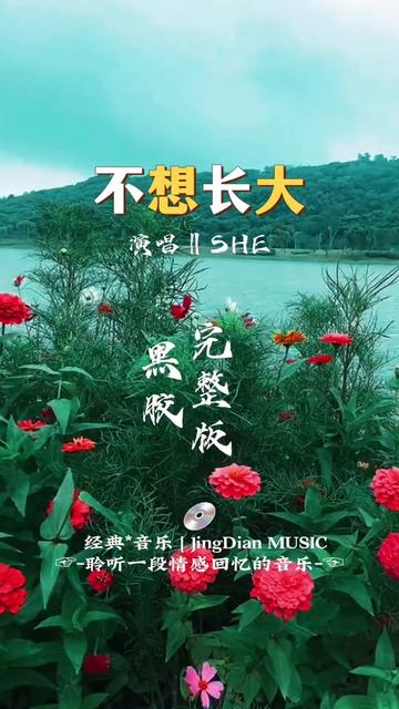 SHE的一首《不想长大》是S.H.E演唱的一首歌曲,由施人诚填词,左安安作曲,收录在S.H.E2005年推出的同名专辑《不想长大》中.2006年这首歌曲获得...