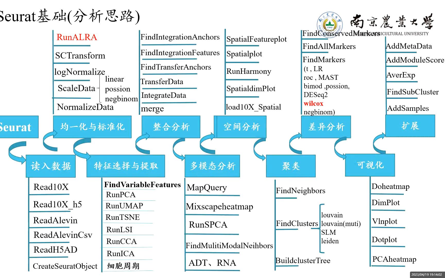 单细胞数据分析之Seurat软件解读哔哩哔哩bilibili