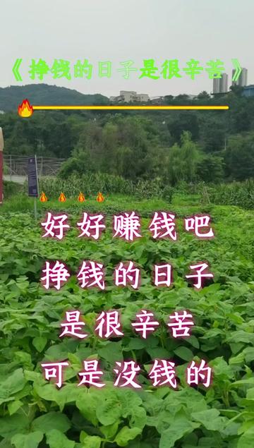 好好赚钱吧#赚钱是很辛苦的#可是没钱的日子更苦#为了生活努力撇