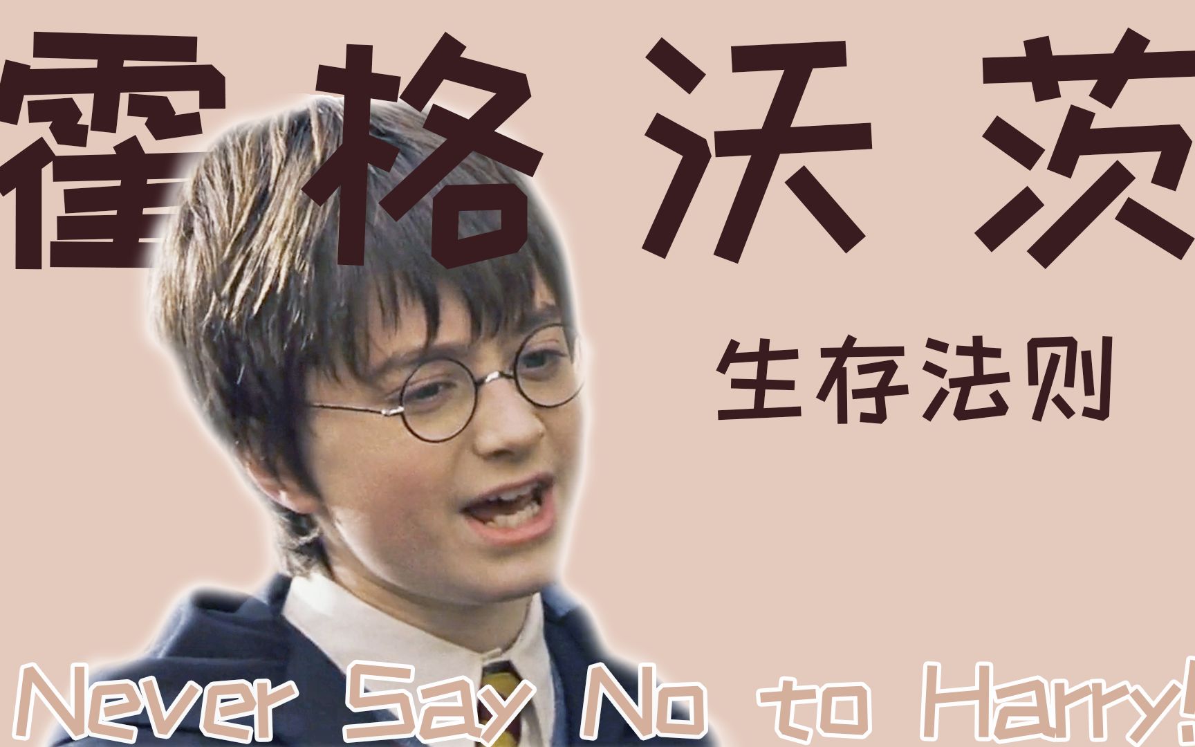 【HP/霍格沃茨悍匪Harry】Never Say No to Harry | 论如何在霍格沃茨生存哔哩哔哩bilibili