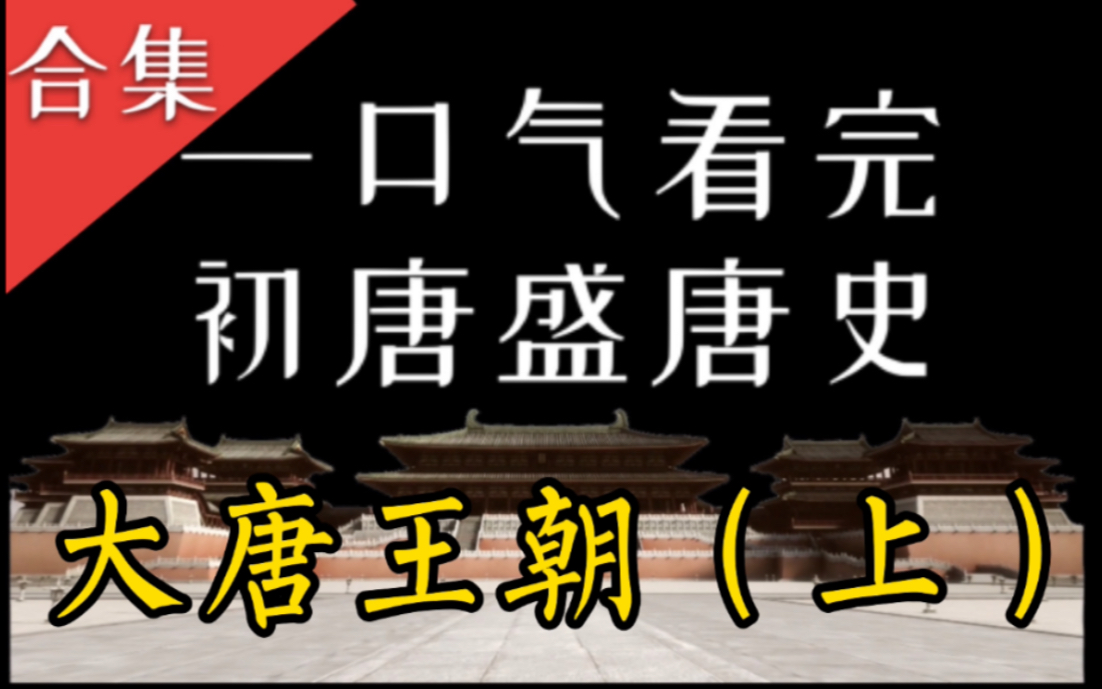 【合集】一口气看完初唐盛唐史:《大唐王朝》系列(上)【上部已完结】哔哩哔哩bilibili