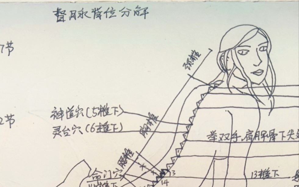 自学中医倪海厦针灸第二课,怎么准确寻找中脘穴,怎么测量上腹部哔哩哔哩bilibili