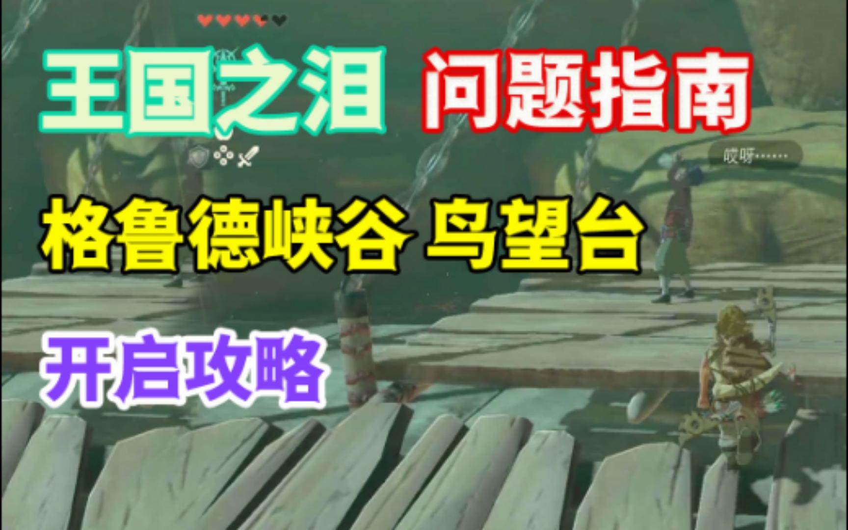 【王国之泪】格鲁德高地 格鲁德峡谷 鸟望台开启攻略哔哩哔哩bilibili