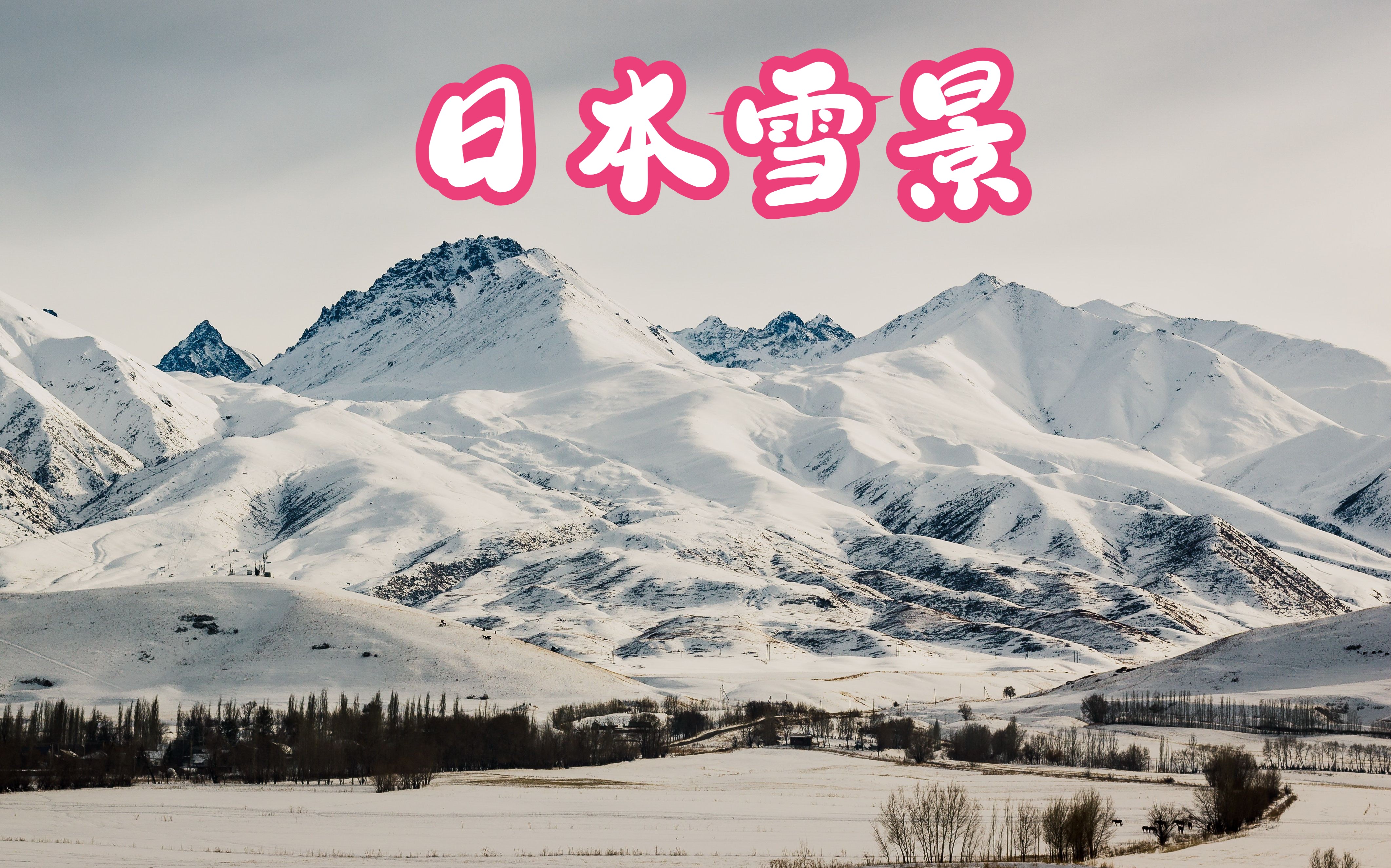 日本雪中步行看风景系列22哔哩哔哩bilibili