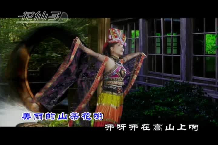 [图]广东花仙子/韩宝仪 愿嫁汉家郎 2008年5月 DVD/一个小微笑 下部分