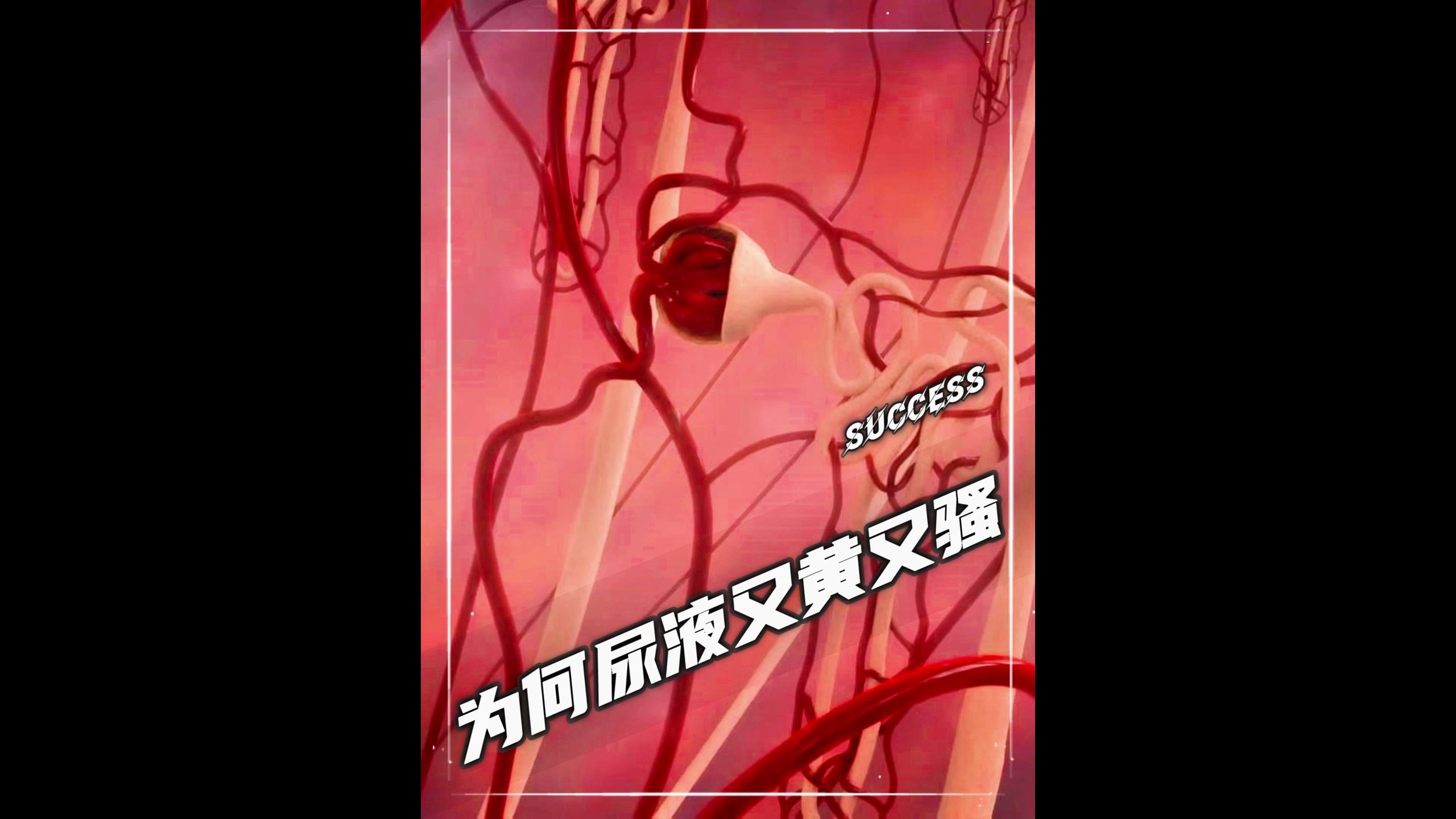 揭秘尿液的奥秘——为何尿液又黄又骚?哔哩哔哩bilibili