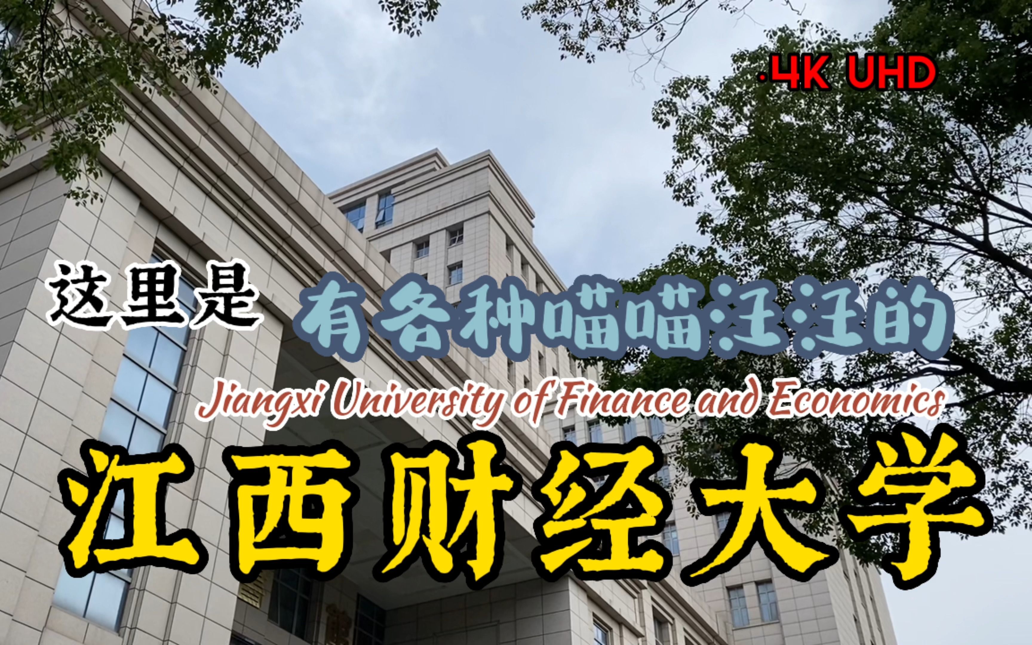 【4K江财】江西财经大学的喵喵汪汪,再见了!| 一期视频,回顾一下在南昌的212学期|黄白狗嘟嘟哔哩哔哩bilibili