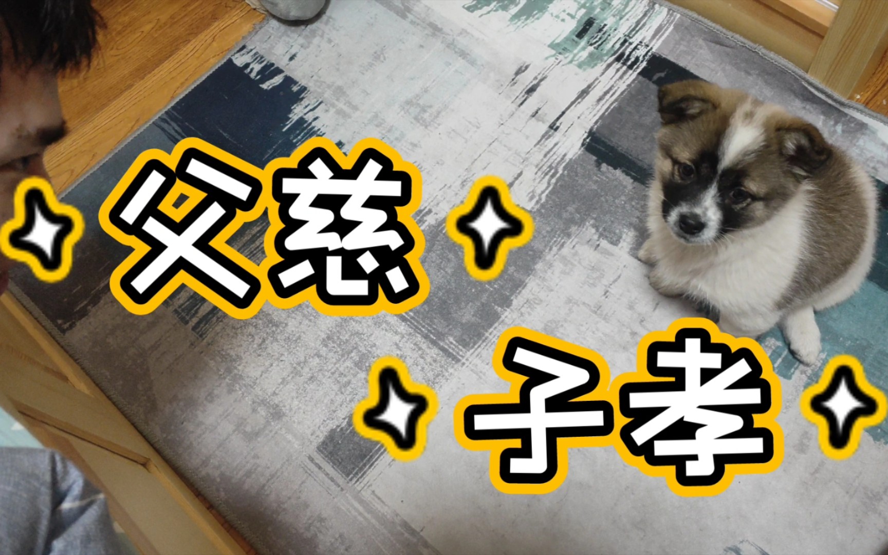 狗语十级 沟通无障碍