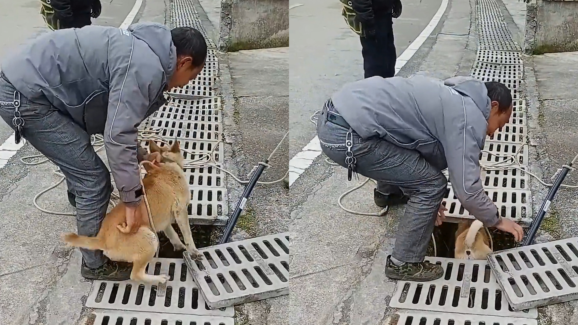 村民维修水管狗狗当临时工,拉绳穿下水道帮引线立大功:得加鸡腿哔哩哔哩bilibili