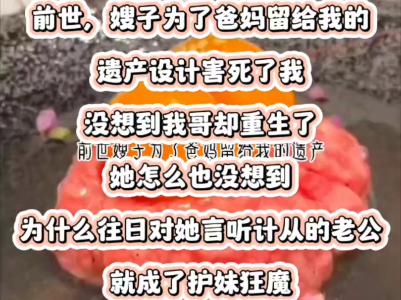 前世,嫂子为了爸妈留给我的遗产设计害死了我.没想到我哥却重生了.她怎么也没想到,为什么往日对她言听计从的老公.就成了护妹狂魔哔哩哔哩bilibili