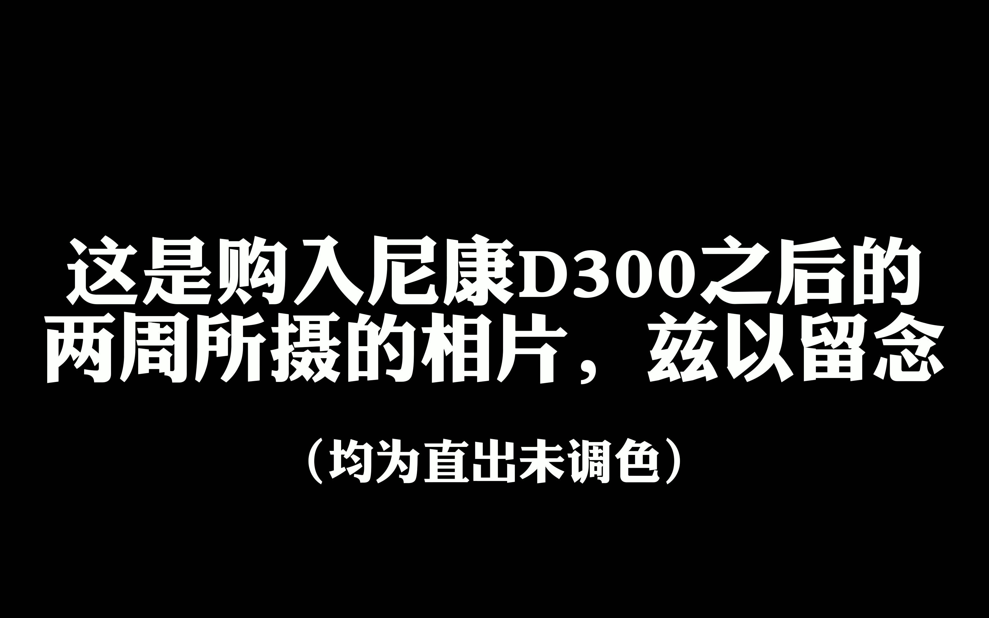 一男子购入尼康D300两周,这是他所拍摄的照片哔哩哔哩bilibili