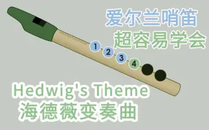 【爱尔兰哨笛】Hedwig's Theme-海德薇变奏曲 新手快慢双速指法详解教程