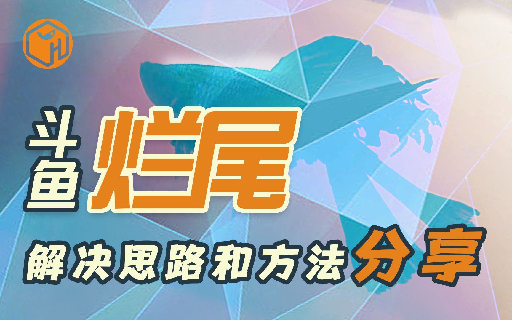 泰国斗鱼烧尾和烂尾的区别,水族鱼病了解和解决思路方法分享哔哩哔哩bilibili