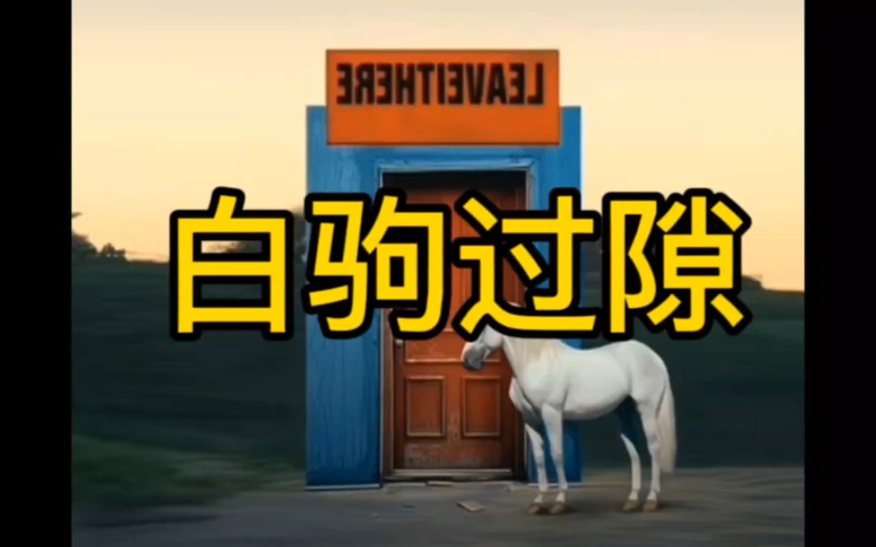 杨坤新歌《白驹过隙》完整版,大家听听,和刀郎比谁的好听?哔哩哔哩bilibili