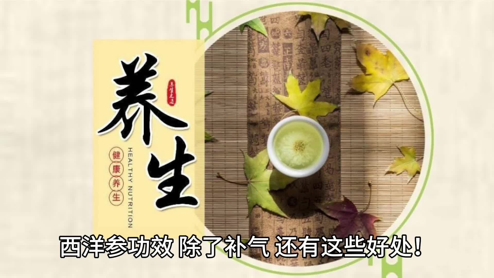 西洋参功效,除了补气,还有这些好处!哔哩哔哩bilibili