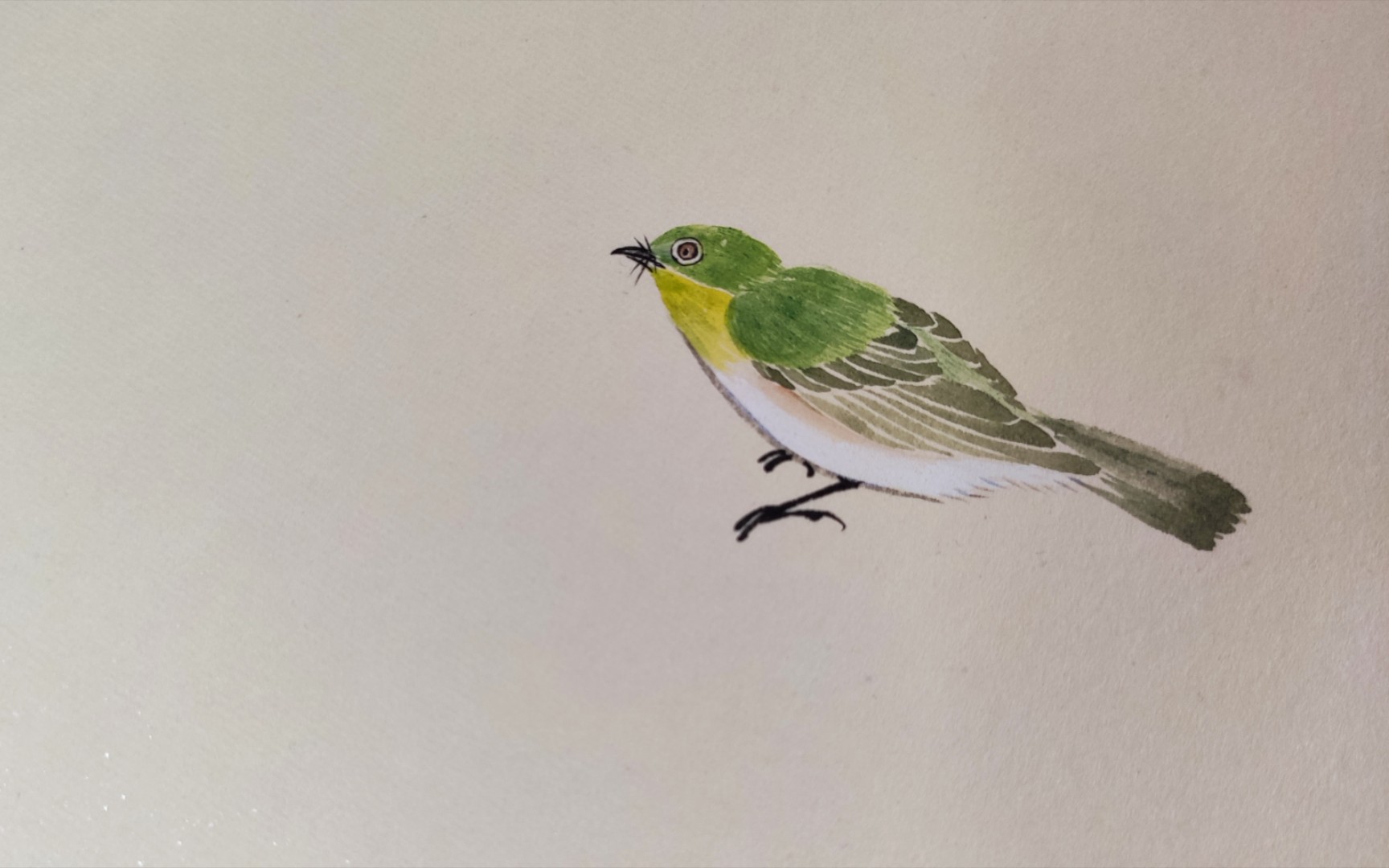 【国画】紫当绣眼