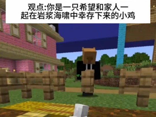 Minecraft:“幸存者鸡”我的世界