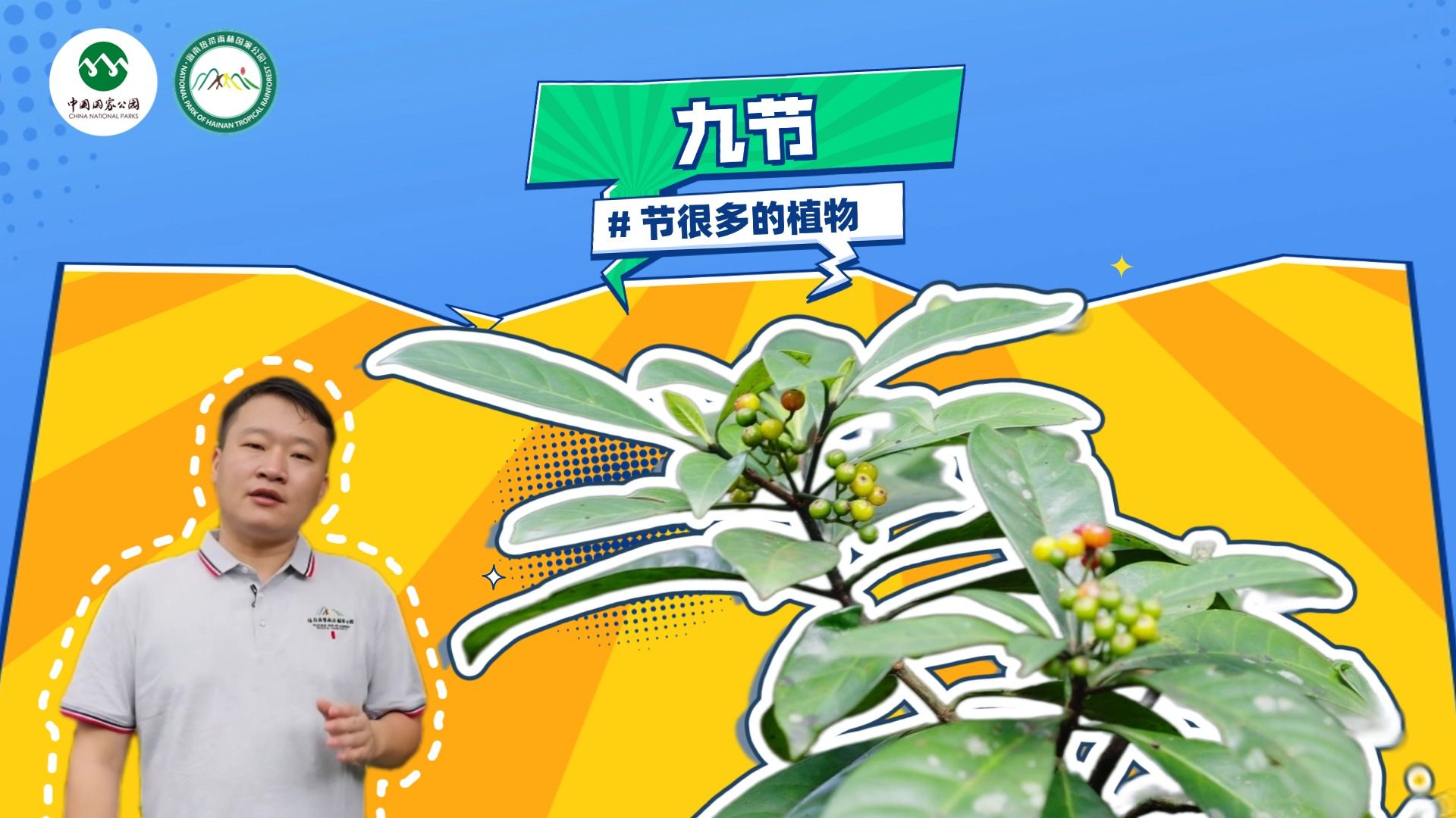 第141集 | 植物篇:带数字的植物——九节哔哩哔哩bilibili