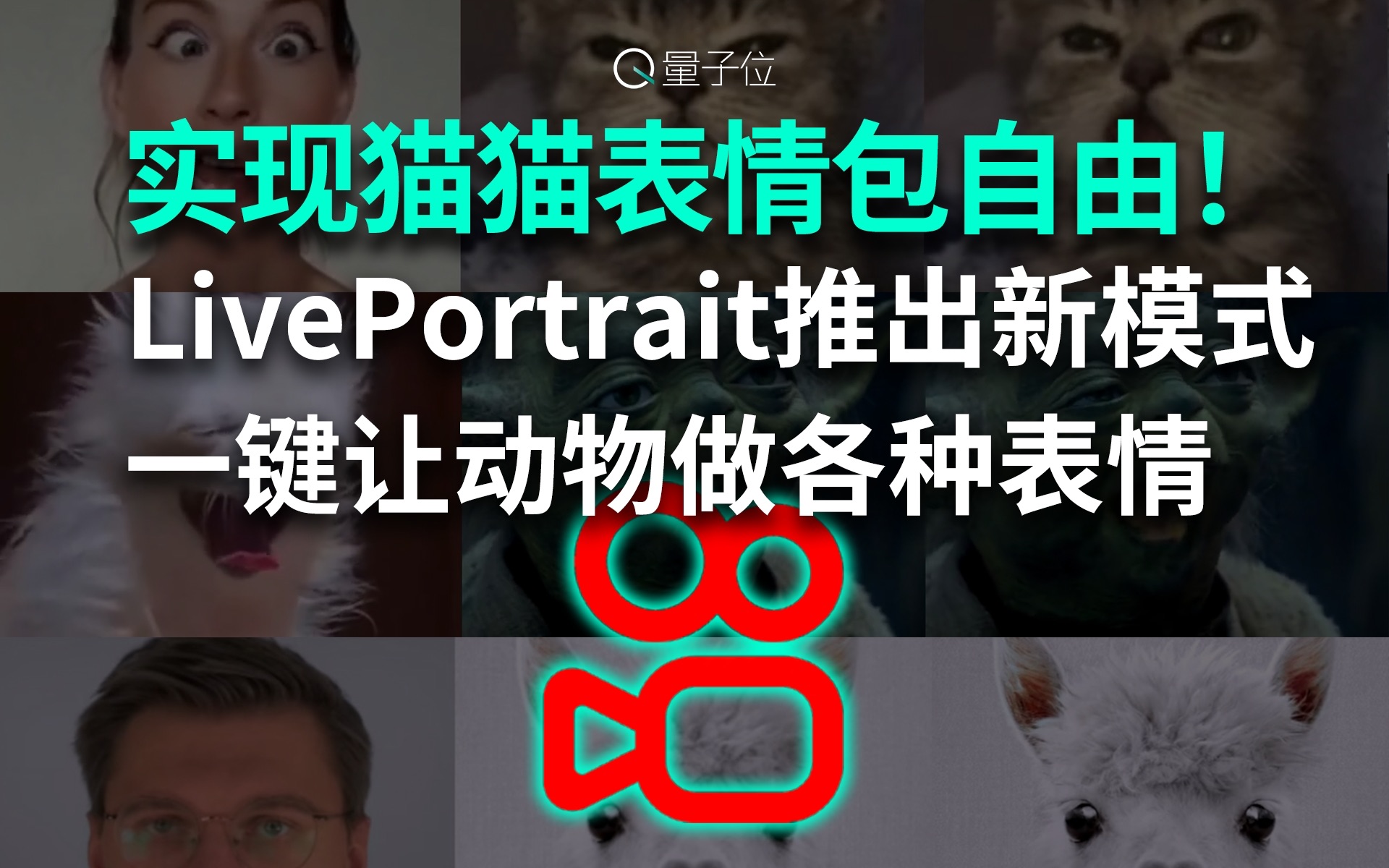 实现猫猫表情包自由!爆火LivePortrait推出动物模式,一键让动物做各种表情哔哩哔哩bilibili