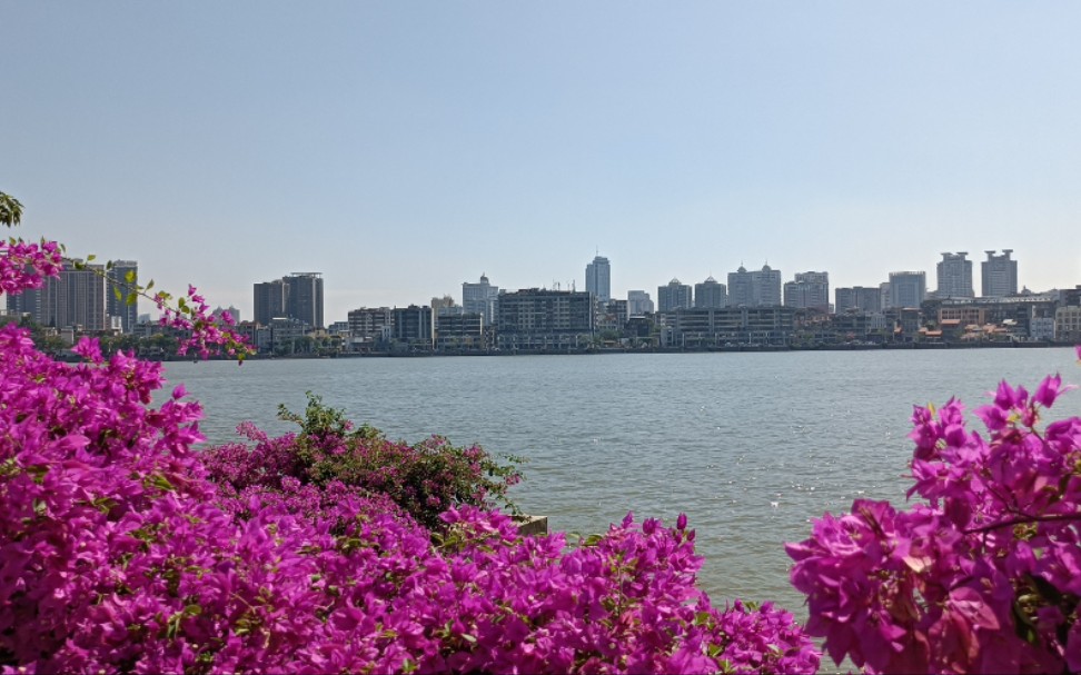 活动  惠州-东江公园