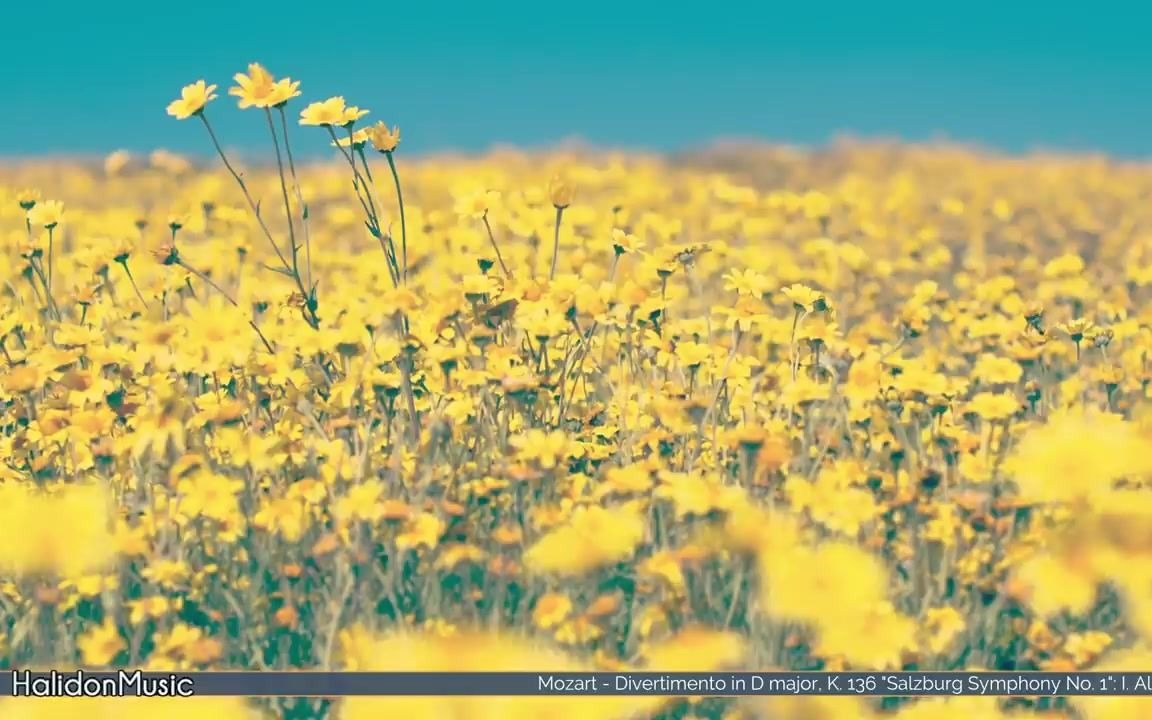 [图]令人快乐的古典音乐 莫扎特 嬉游曲 请不要再去做情郎 & 贝多芬 英雄交响曲 欢乐颂 & 比才 阿莱城的姑娘组曲丨HALIDONMUSIC