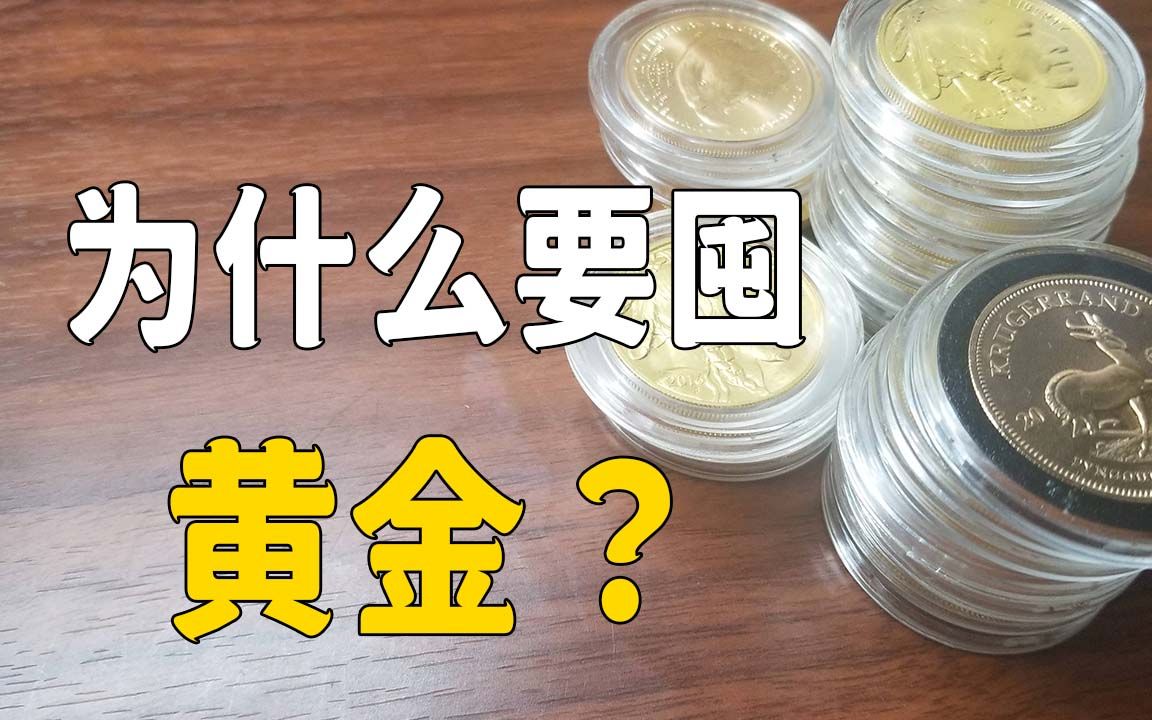 【囤金兽Tim】为什么要囤实体黄金?哔哩哔哩bilibili