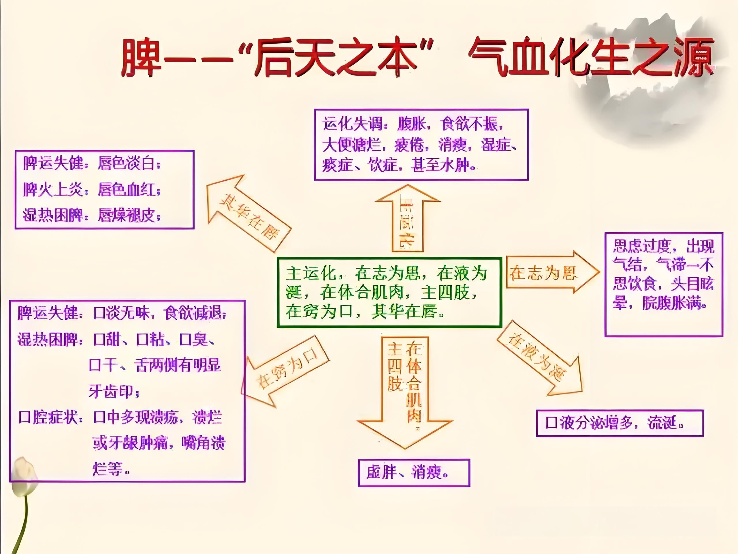 第97讲:【黄帝内经】脾胃者,仓廪之官,五味出焉哔哩哔哩bilibili