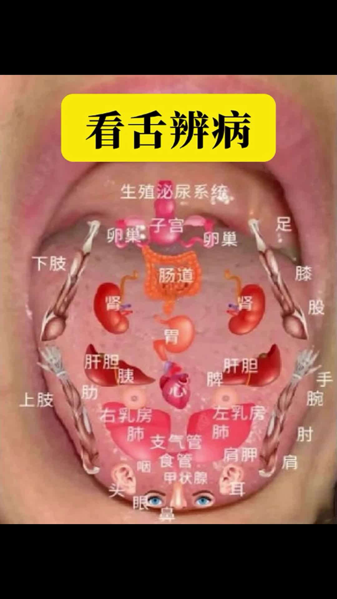 观舌看病图解图片