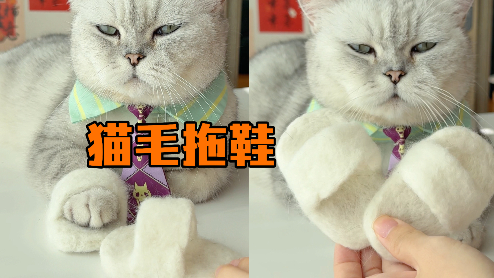 给猫王做一双拖孩!-料理猫王-料理猫王-哔哩哔哩视频