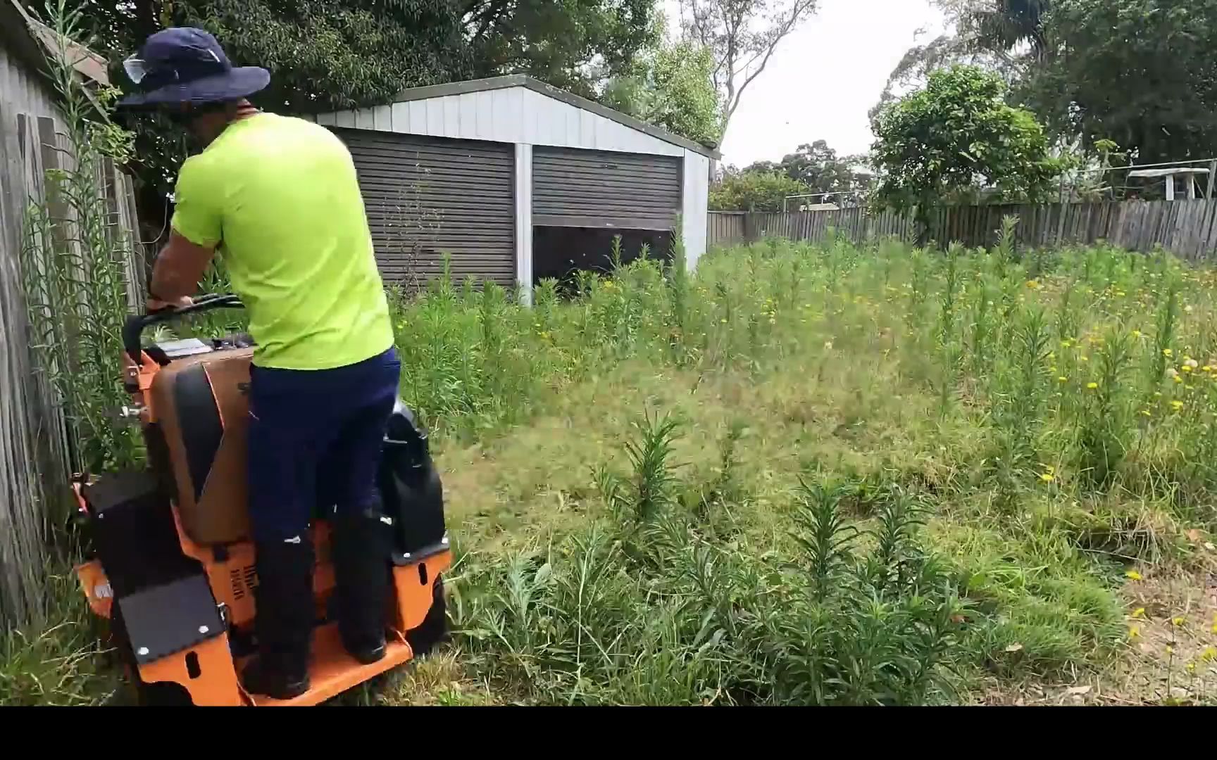 [图]真解压，老外用除草机清除自家院子杂草，网友；过程看着真舒服