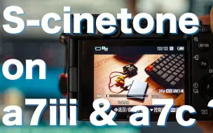 下载视频: 索尼 A7III 跟 a7c 也可以拥有S-cinetone?  享受素材颜色直出 跟原生S-Cinetone的比较及问题