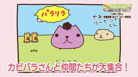 アニメ カピバラさん 再放送決定 10月1日毎週金曜あさ7 30 テレビ東京系 きんだーてれび 内 哔哩哔哩