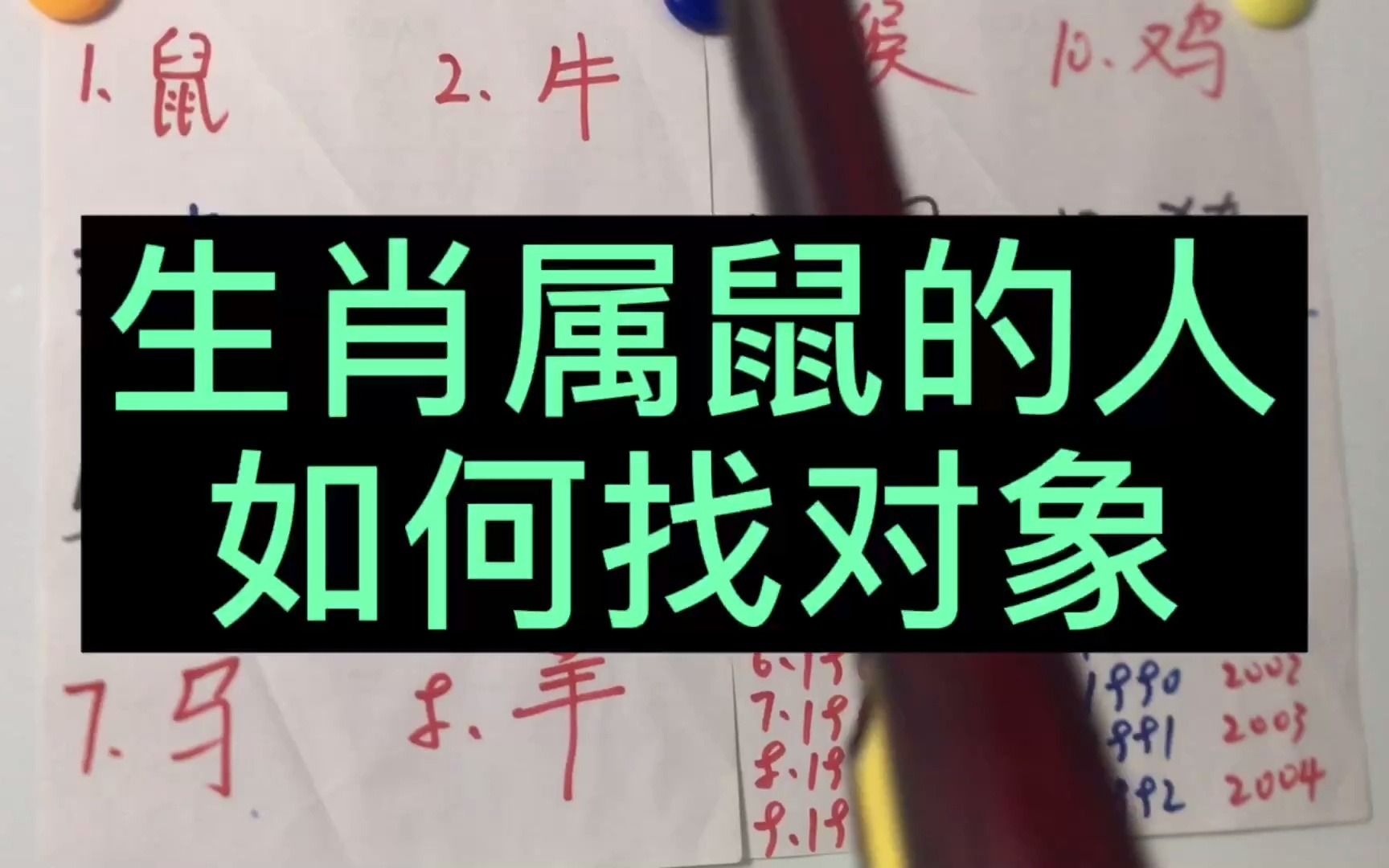 十二生肖——鼠,属鼠的人和谁适合谈对象,相亲和谁最幸福哔哩哔哩bilibili