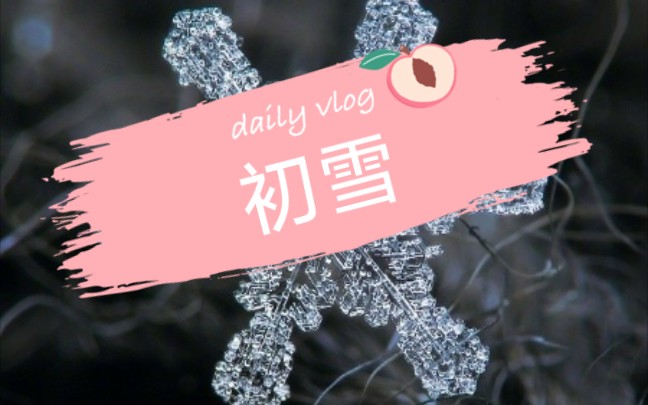 冬天的雪是上帝写给人间的诗哔哩哔哩bilibili