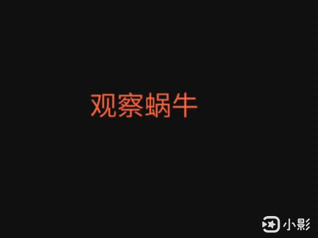 蜗牛观察实验1哔哩哔哩bilibili