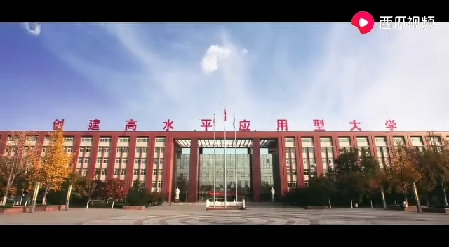 山东英才学院 爱了爱了哔哩哔哩bilibili