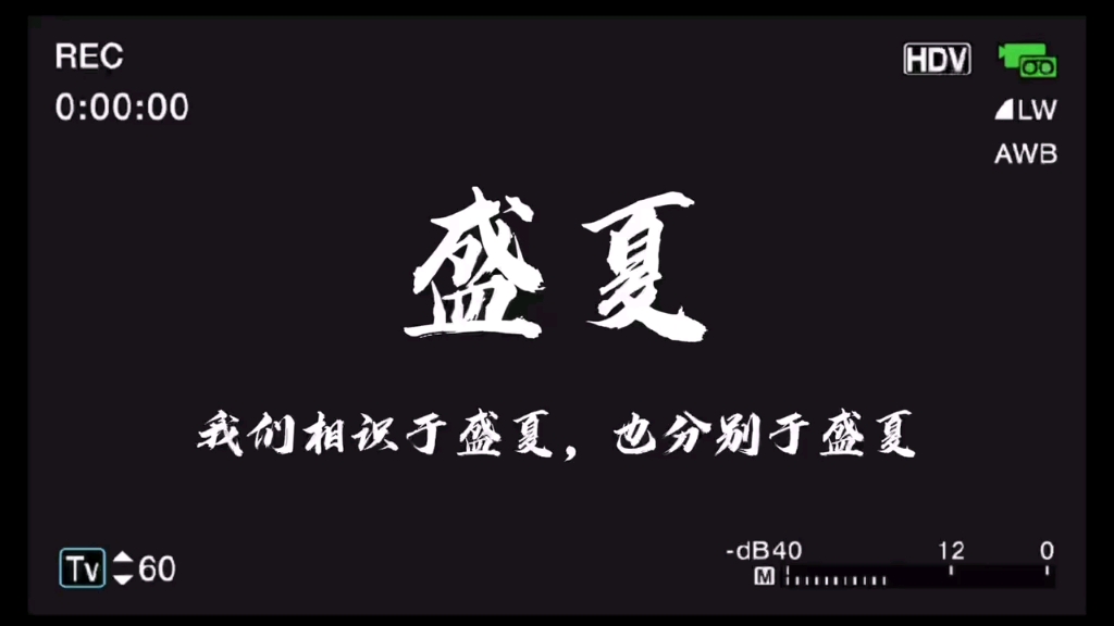 我们终将上岸阳光万里