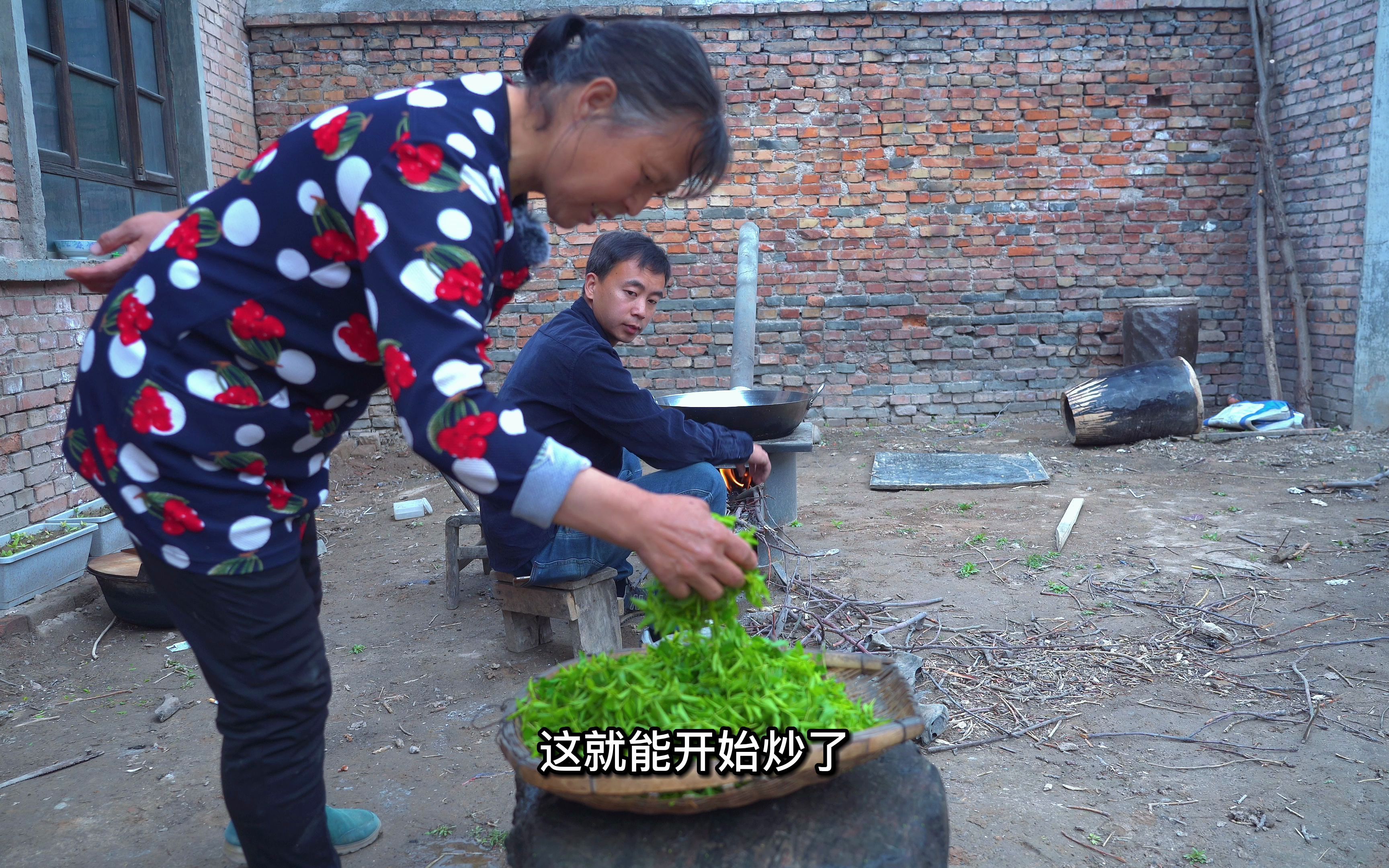 农村的酸枣叶也是宝贝,用它制成酸枣叶茶,不仅味道好作用更大哔哩哔哩bilibili