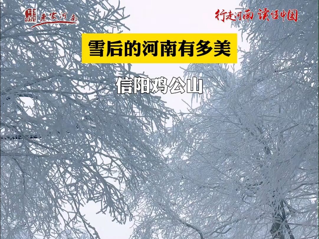 行走河南ⷨﻦ‡‚中国 | 雪后的河南有多美,信阳鸡公山哔哩哔哩bilibili